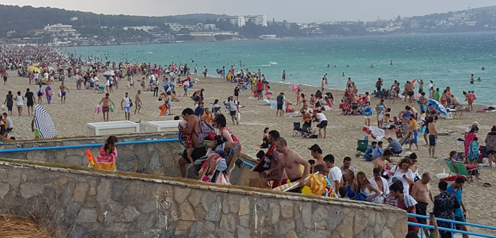 Ege Zeytin ve Zeytinyağı İhracatçıları Birliği