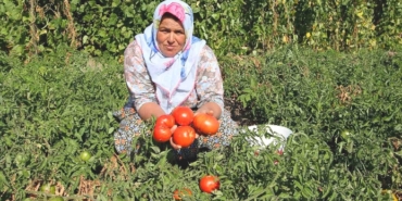 Konak, Tunç Soyer, İZSU, Gültepe