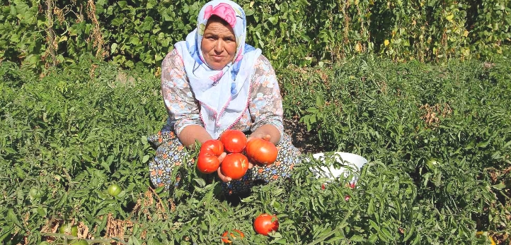 Konak, Tunç Soyer, İZSU, Gültepe