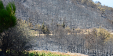 izmir, Aliağa, Aliağa trafik kazası