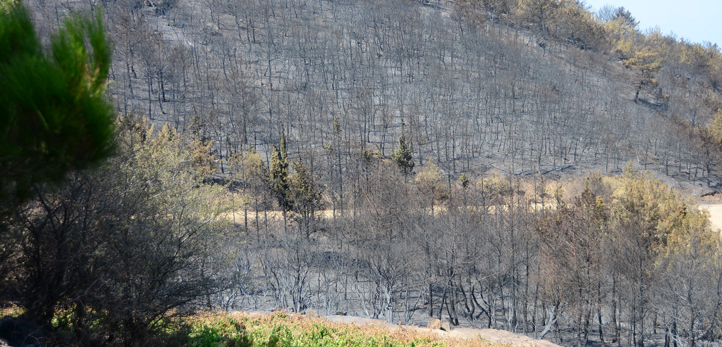 izmir, Aliağa, Aliağa trafik kazası