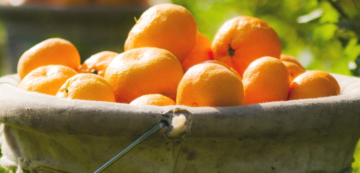 Bornova, Çeşme, Celsus Kütüphanesi, İzmir Ticaret Odası