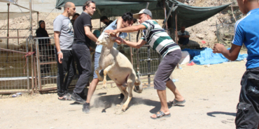 İzmir'de Kurban Bayramı'nın 1. günü 22 yaralı