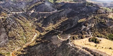 Bornova, Yaşar Üniversitesi