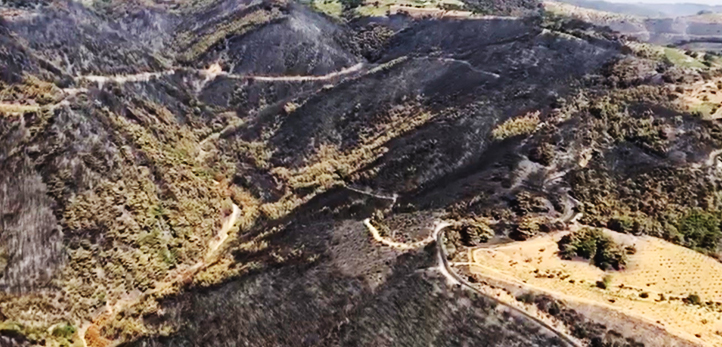 Bornova, Yaşar Üniversitesi