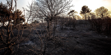 izmir, Selçuk, Filiz Ceritoğlu Sengel