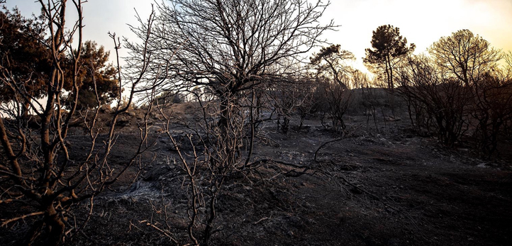 izmir, Selçuk, Filiz Ceritoğlu Sengel
