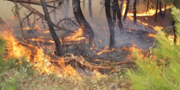 Aliağa, Tunç Soyer, Aliağa Belediyesi