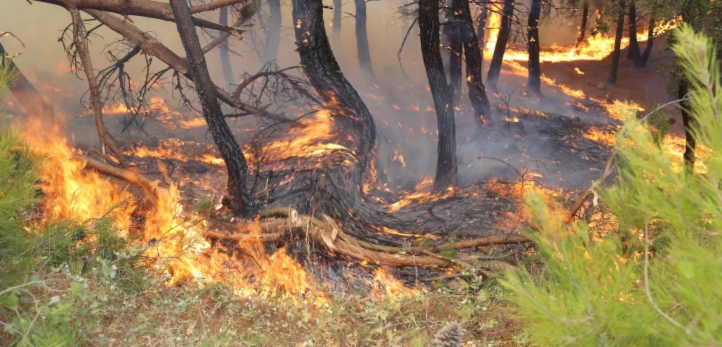 Aliağa, Tunç Soyer, Aliağa Belediyesi
