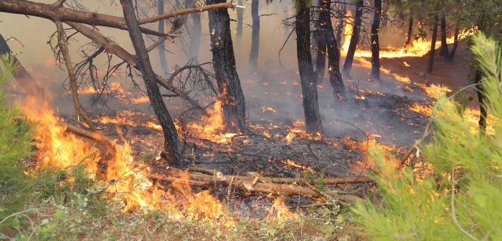 Göztepe, Altay, Altınordu, Menemenspor