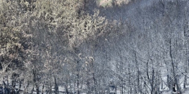izmir, İzmir deprem