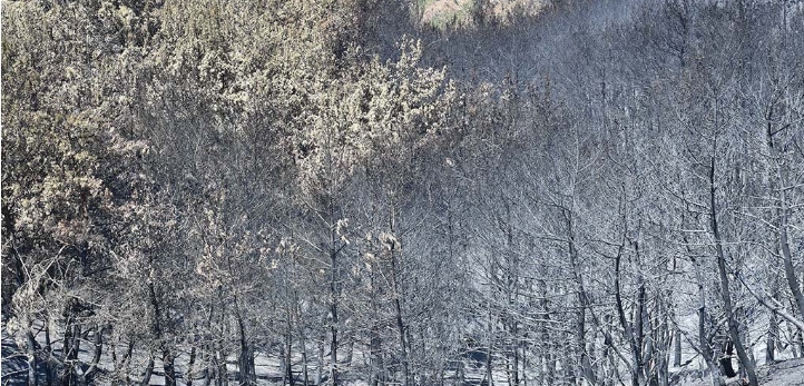 izmir, İzmir deprem
