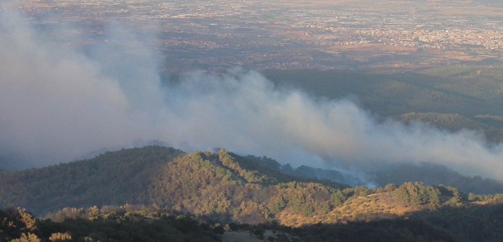 izmir, Çeşme, Ilıca, Alaçatı Ot Festivali