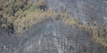 Karşıyaka, Karşıyaka Belediyesi, Cemil Tugay