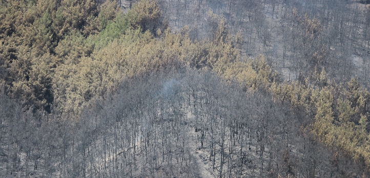 Karşıyaka, Karşıyaka Belediyesi, Cemil Tugay