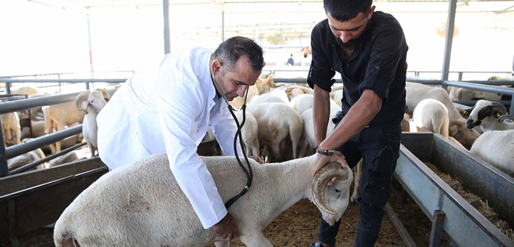 Karşıyaka, Menemenspor