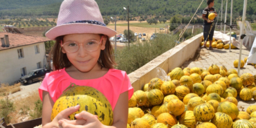 Nohutalan'daki kavun festivali, üreticilerin yüzünü güldürdü