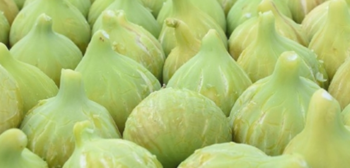 Fenerbahçe, Göztepe, Bornova, Antalya, Yeni Malatyaspor