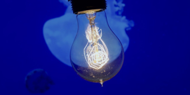 izmir, Konak, Urla, Levent Üzümcü