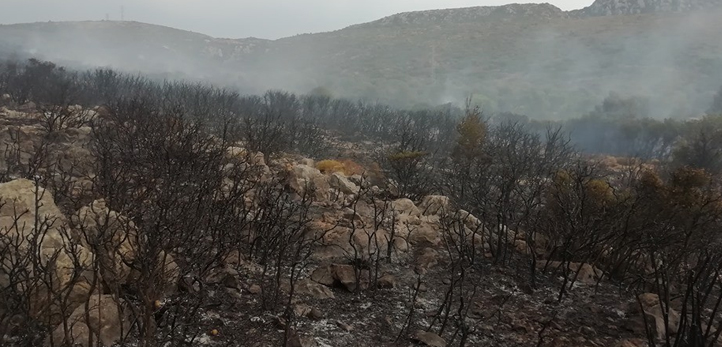 izmir, Karaburun, Mordoğan