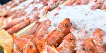 İzmir su kesintisi, Karşıyaka su kesintisi, Ödemiş su kesintisi, Konak su kesintisi, Selçuk su kesintisi, Bayraklı su kesintisi, Aliağa su kesintisi, Menemen su kesintisi