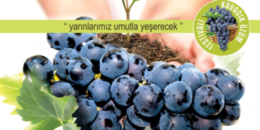 izmir, izmir hava durumu