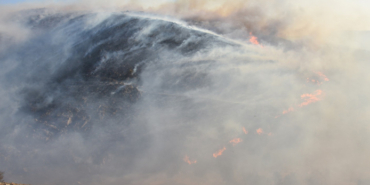 İzmir'de Menemen ve Urla'da orman yangını!