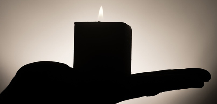 Karşıyaka, izmir, Dikili, Selçuk, Tunç Soyer, İzmir Büyükşehir Belediyesi, İzmir Doğal Yaşam Parkı, Alsancak