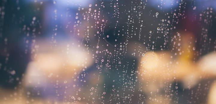 Tarkan, izmir, Tunç Soyer, Ekrem İmamoğlu