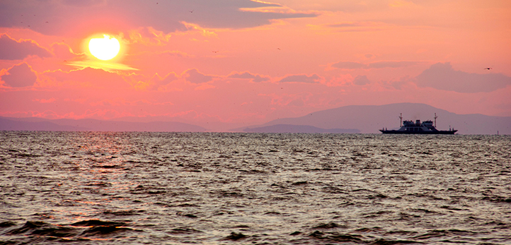 izmir, Urla, Urla cinayet