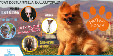 izmir, Bayındır, Bayraklı, Bergama, Bornova, Buca, Dikili, Foça, Güzelbahçe, Kemalpaşa, Kiraz, Konak, Menemen, Narlıdere, Ödemiş, Selçuk, Tire, Urla, Bayındır elektrik kesintisi, Bergama elektrik kesintisi, Bornova elektrik kesintisi, Dikili elektrik kesintisi, Foça elektrik kesintisi, Kemalpaşa elektrik kesintisi, Kiraz elektrik kesintisi, Menemen elektrik kesintisi, Ödemiş elektrik kesintisi, Selçuk elektrik kesintisi, Tire elektrik kesintisi, Urla elektrik kesintisi, Konak elektrik kesintisi, Buca elektrik kesintisi, Güzelbahçe elektrik kesintisi, Narlıdere elektrik kesintisi, Bayraklı elektrik kesintisi