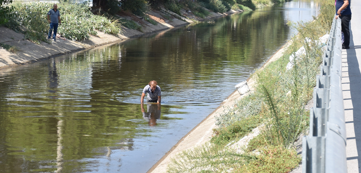 izmir, Ödemiş, Ödemiş trafik kazası