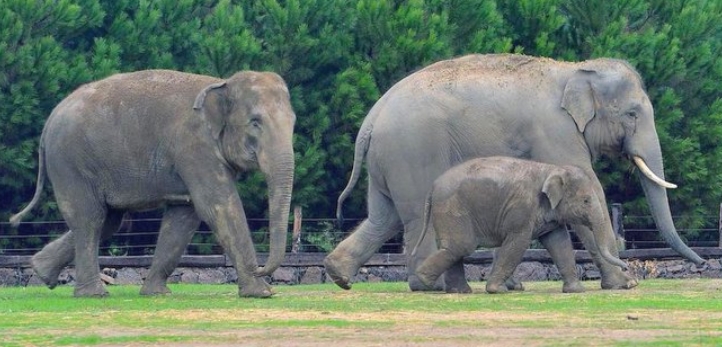 Karabağlar, Narlıdere, Uzundere