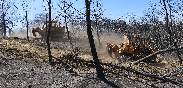 izmir, Bayraklı, Sıla, İzmir Arena
