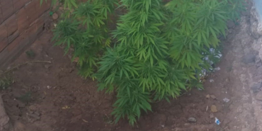 izmir, Çiğli, Atatürk Mahallesi, Çiğli cinayet