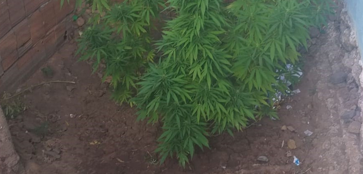 izmir, Çiğli, Atatürk Mahallesi, Çiğli cinayet