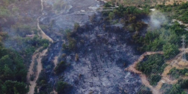 izmir, Narlıdere, Narlıdere Deniz Festivali, Narlıdere Belediyesi, Ali Engin