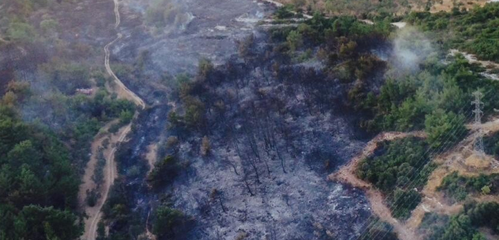 izmir, Narlıdere, Narlıdere Deniz Festivali, Narlıdere Belediyesi, Ali Engin