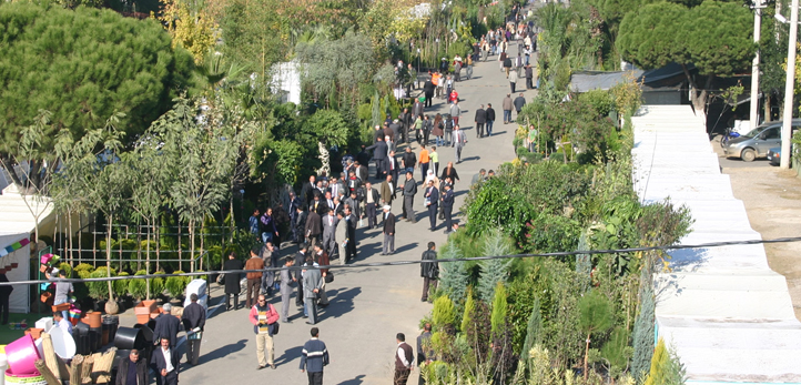 Karaburun, Karaburun elektrik kesintisi