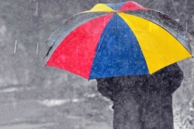 Nehir Erdoğan, Kutsi, Şerif Sezer, TRT