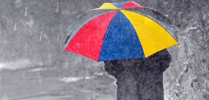 Nehir Erdoğan, Kutsi, Şerif Sezer, TRT