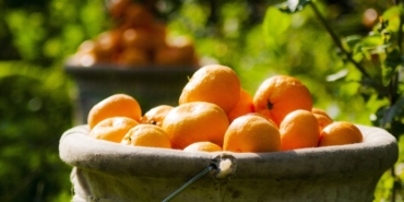 izmir, Bergama elektrik kesintisi, Beydağ elektrik kesintisi, izmir elektrik kesintisi