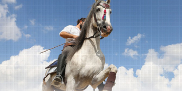 izmir, Antalya, Ege Üniversitesi, Ege Bölgesi, 9 Eylül Üniversitesi