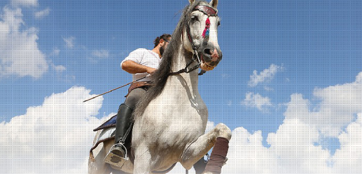 izmir, Antalya, Ege Üniversitesi, Ege Bölgesi, 9 Eylül Üniversitesi