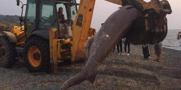 izmir, izmir hava durumu, çeşme hava durumu, buca hava durumu, Seferihisar hava durumu, Dikili hava durumu, Meteoroloji Genel Müdürlüğü, izmir hava