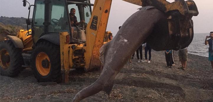 izmir, izmir hava durumu, çeşme hava durumu, buca hava durumu, Seferihisar hava durumu, Dikili hava durumu, Meteoroloji Genel Müdürlüğü, izmir hava