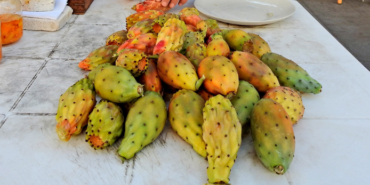 Engin Altan Düzyatan, Burçin Terzioğlu, Sarp Akkaya, Berrak Tüzünataç