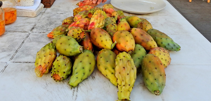 Engin Altan Düzyatan, Burçin Terzioğlu, Sarp Akkaya, Berrak Tüzünataç