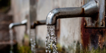 izmir, İzmir Büyükşehir Belediyesi, izmir hal fiyatları, İzmir Hali, izmir balık hali, izmir sebze ve meyve hali, izmir balık hal fiyatları