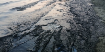 izmir, Boyoz, İzmir Ekonomi Üniversitesi, İzmir Köfte, Elvan Özkavruk Adanır